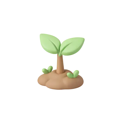 Growth Strategy