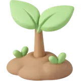Growth Strategy